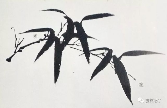 竹叶的画法模板,竹叶的钢笔画法