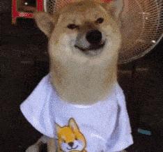 天津猛犸象牙 (天津猛犸象牙商店)