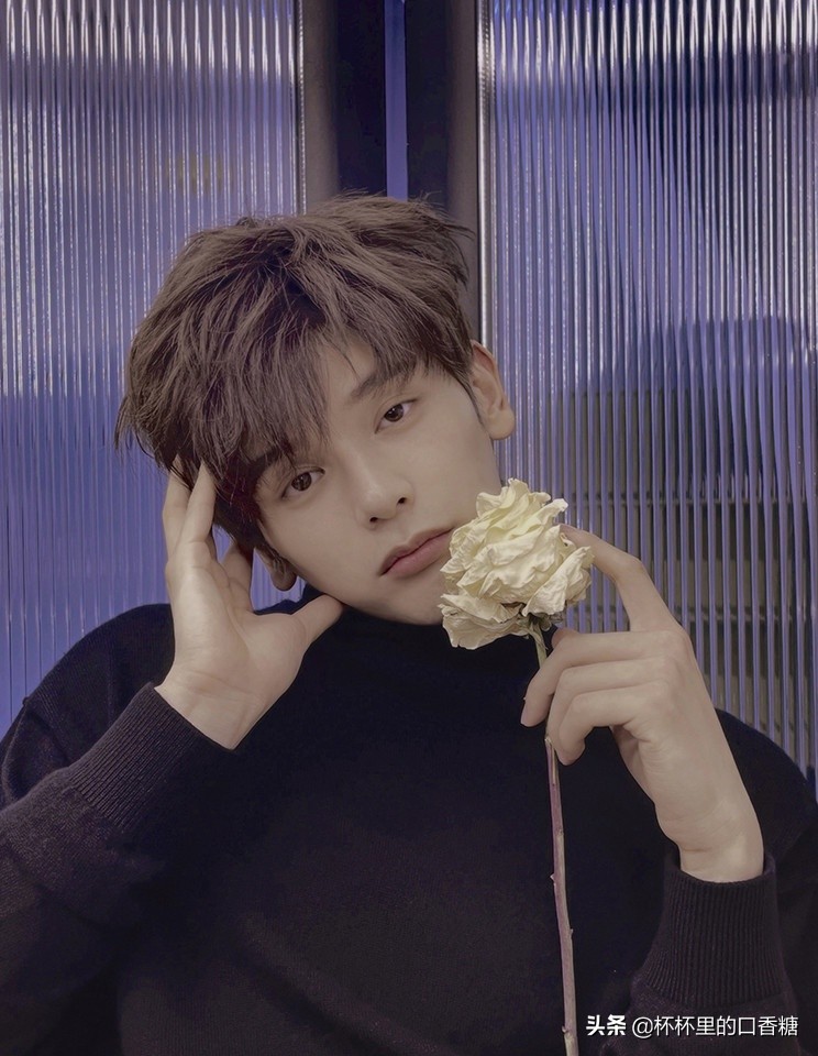 2019网坛新星排名,网友评选新生代颜值top