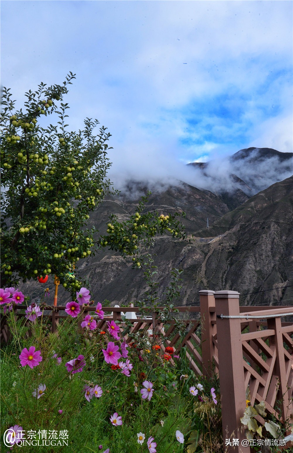 夜色成都串串爽，魅力小金苹果香#国庆中秋趣哪玩#