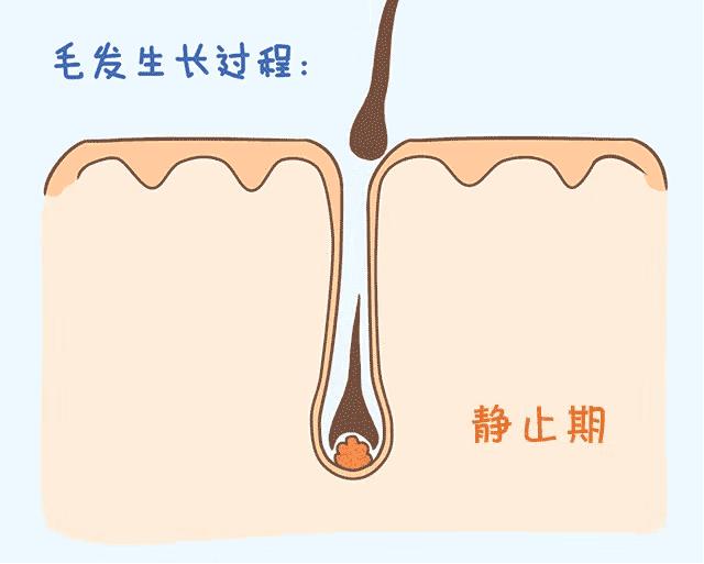 这么吃，最容易掉头发....