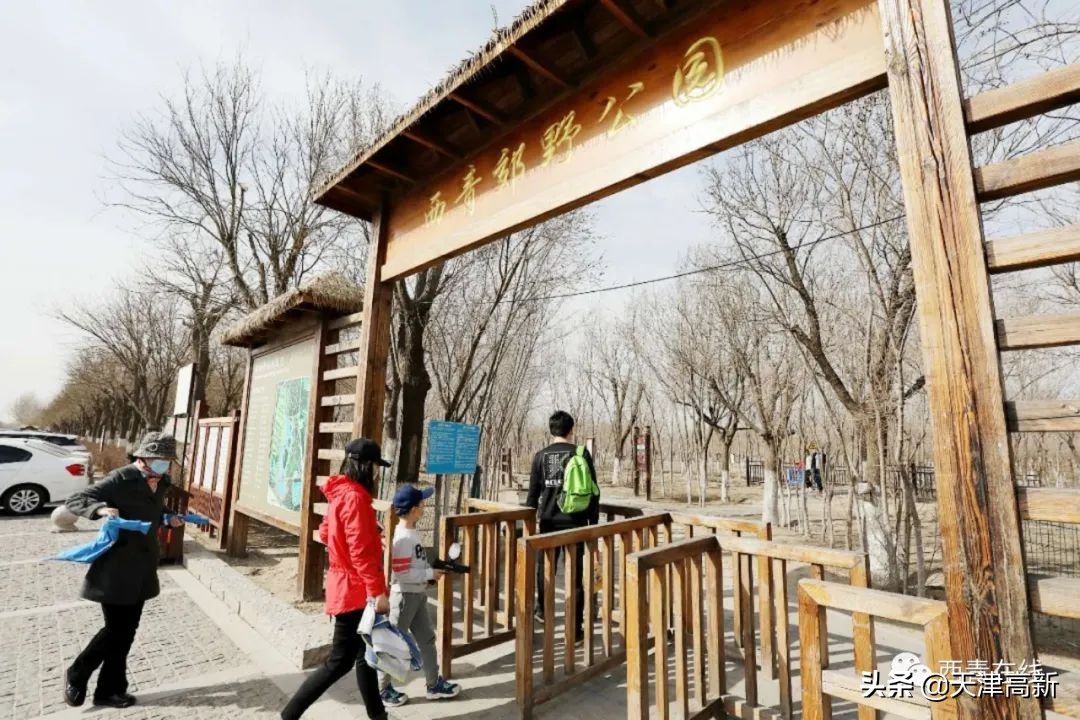 天津即将完工的公园,天津2022年四月开放的公园