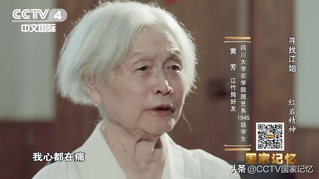 闈炰汉鎶樼（灏忚,闈炰汉鎶樼（