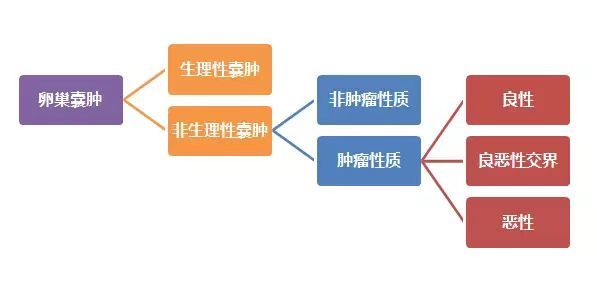 临床诊断卵巢囊肿是什么意思,卵巢囊肿怎么知道是病理和生理呢