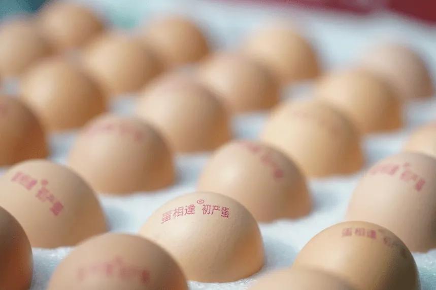 众信科技有限公司靠谱吗,众信农牧科技公司