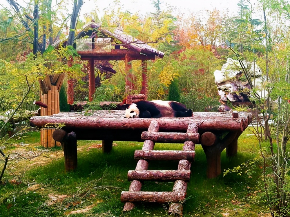 济南市15家室外a级旅游景区,济南市华山旅游景区