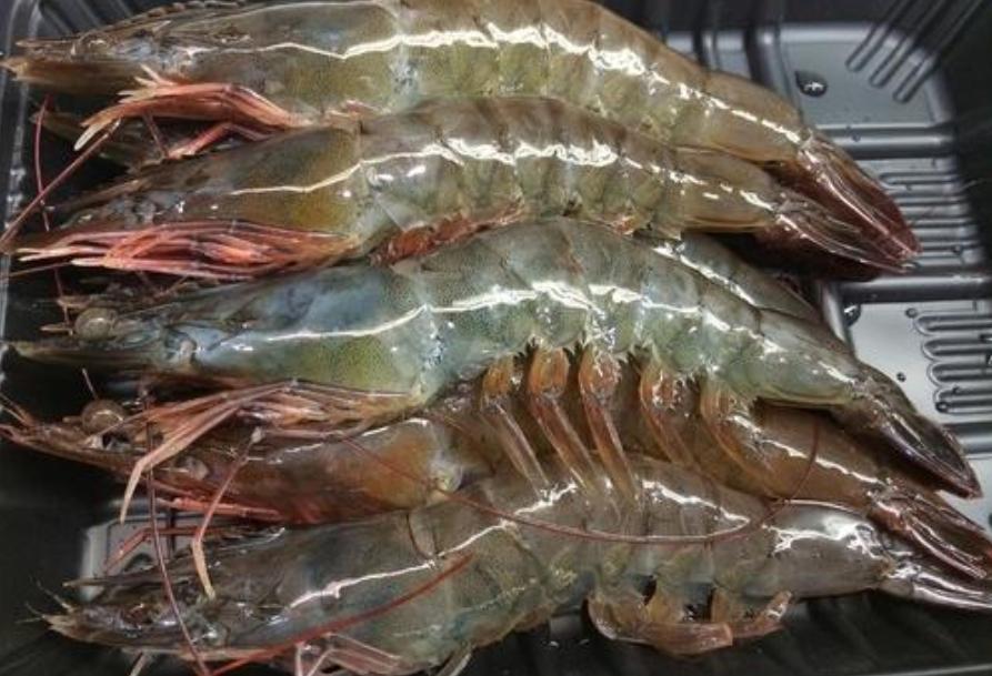 冰鲜虾和冷冻虾的口感,冰鲜虾和冷鲜虾区别