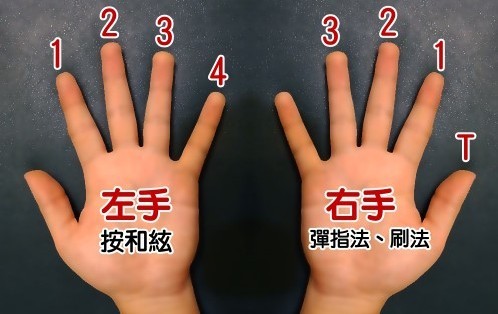 吉他入门教程怎样看六线谱,吉他六线谱入门歌曲