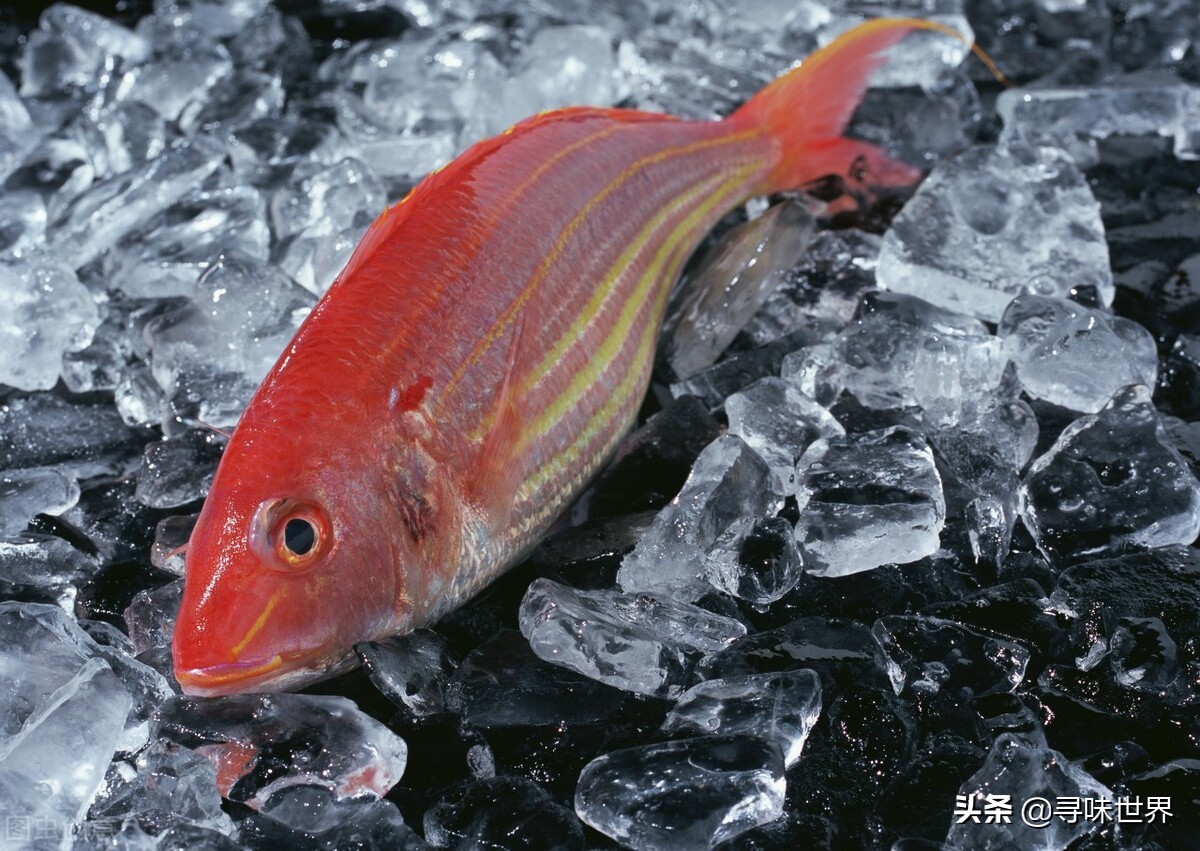 海鱼有哪些人工养殖不了的,不能人工养殖的海鱼市场上有哪些