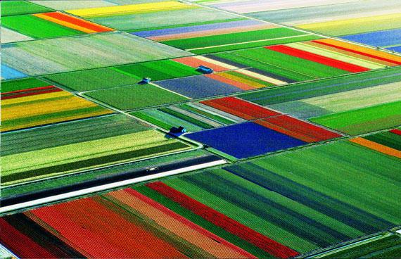 全攻全守打法为什么出现在荷兰,全攻全守打法是哪个国家队