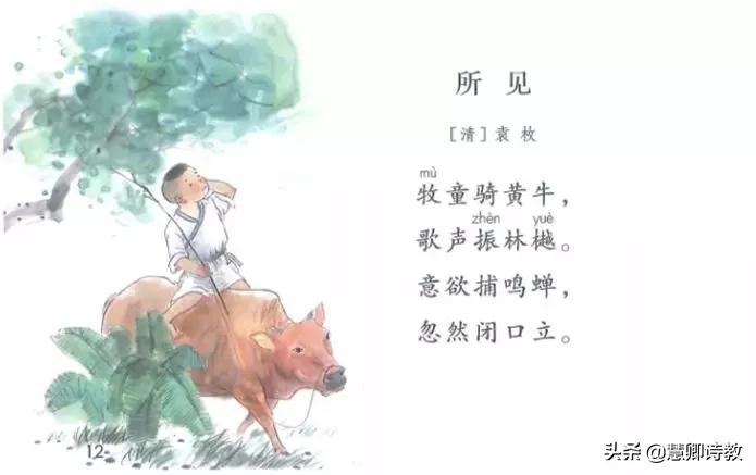 三上语文背诵知识点汇总电子版,部编版三上语文第七单元知识点