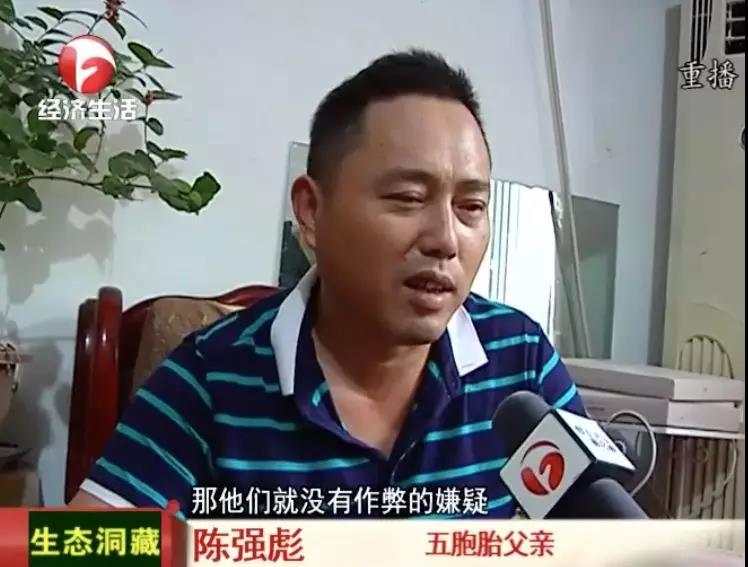 爸爸要求五胞胎分到5个班,五胞胎被分到5个班爸爸称怕淘气