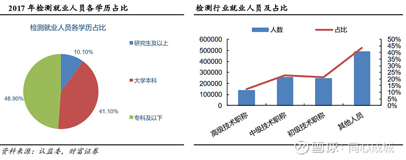 国检集团的未来,国检集团深度分析