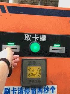 在野外发现甘蔗,在山里发现甘蔗