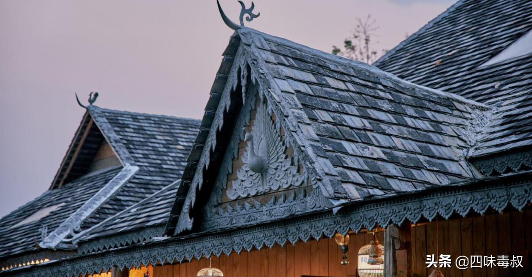 向前看向钱看全文,向前看向钱看完整视频