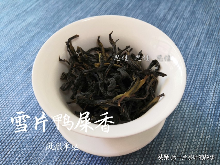 凤凰单枞鸭屎香是名茶吗,凤凰单枞鸭屎香什么样的好
