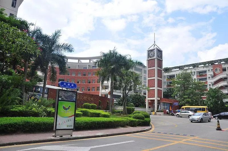 龙岗区私立小学排名前十,龙岗区小学质量排名一览表