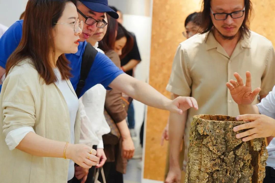 新浪家居家装,新浪家居官网