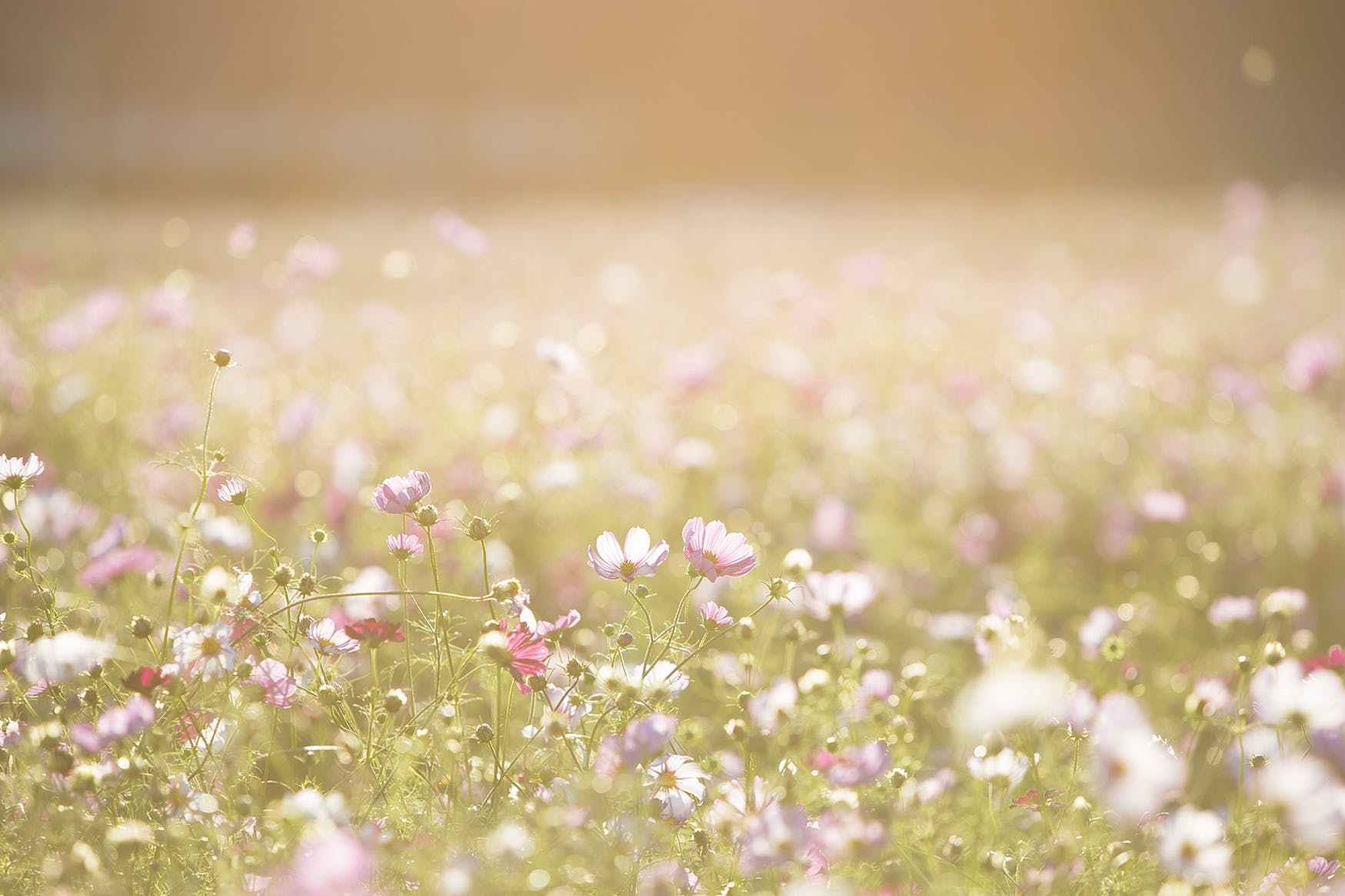 女孩子自卑懦弱怎么办,如何改变女孩子自卑的心理