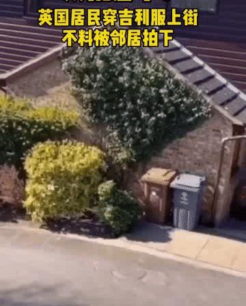 全球各地放松疫情限制,全球各国最新防疫政策