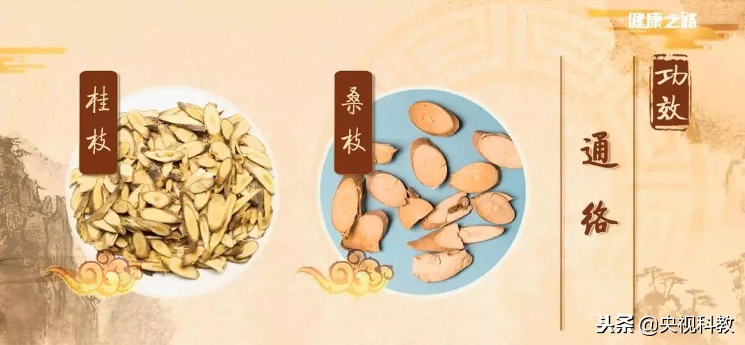 通经络的植物有哪些,绿植哪些有药用价值