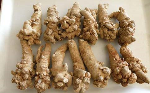 肝功能不好能用哪种抗生素,中药导致肝功能受损一览表