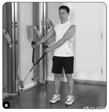 5种锻炼核心力量的动作,5个功能性训练动作