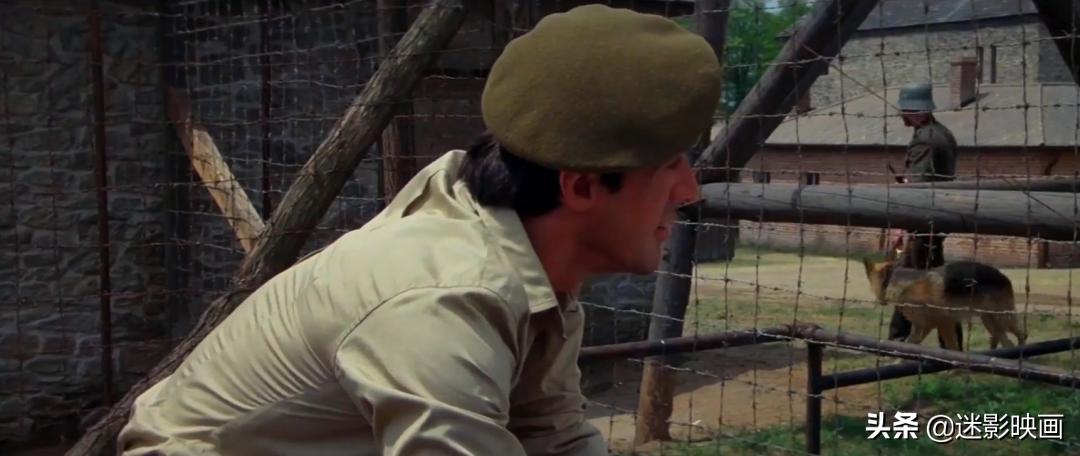 球王贝利最好纪录片,球王贝利史泰龙合拍的电影