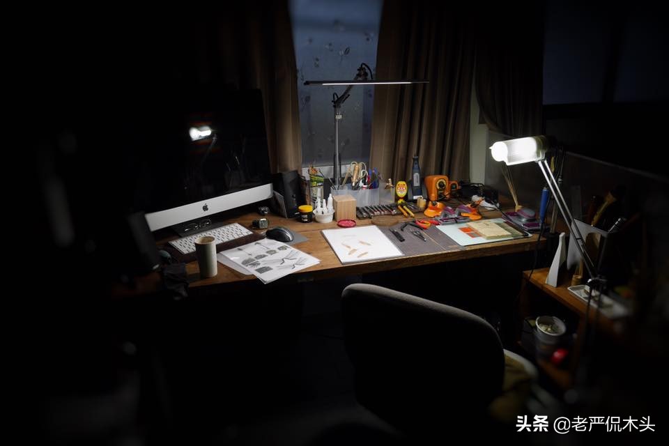 昆虫标本树脂竹节虫,昆虫标本制作竹节虫