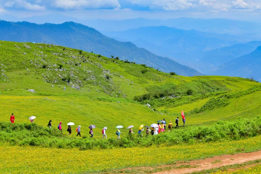 2024攀枝花旅游,攀枝花旅行榜单