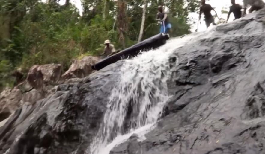 实拍非洲紫檀木*私走**全过程：护林员做*私走**，一根紫檀木赚三万