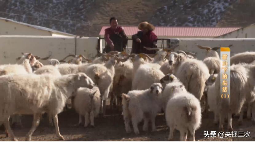 贫困户申请*款贷**2年都被拒绝，什么情况？