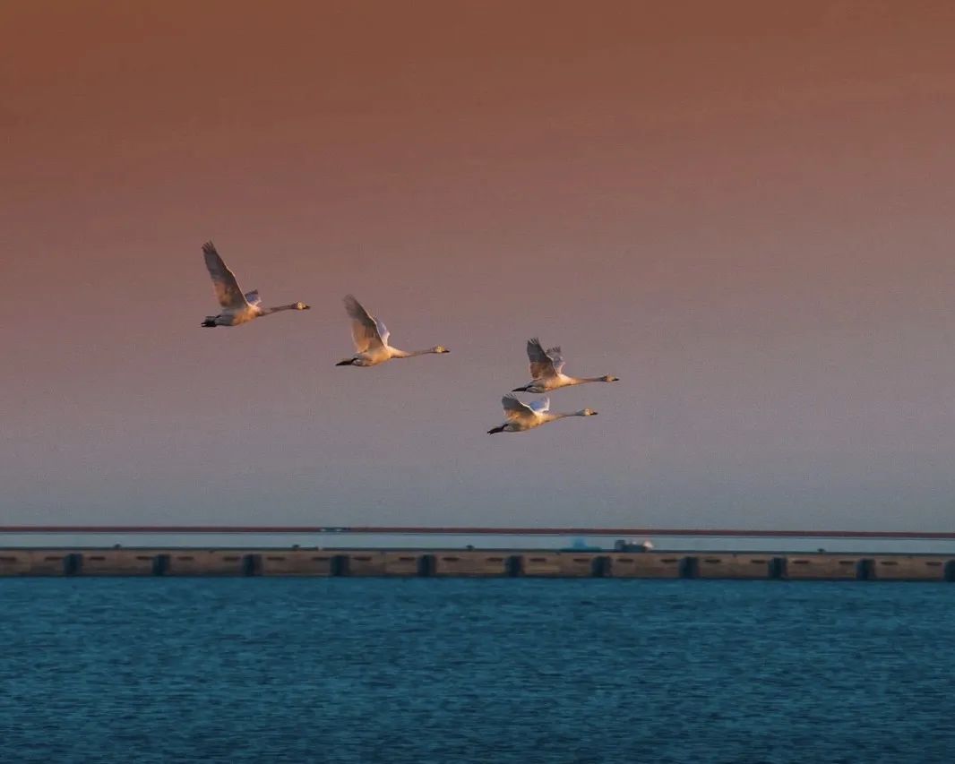 山东自驾游最佳旅游路线发布,山东自驾旅游攻略最全最好的线路