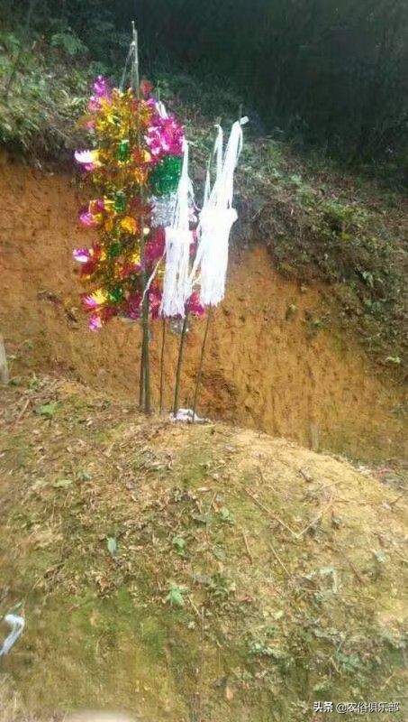 清明节上坟烧纸的正确方法,清明节扫墓白纸还是黄纸