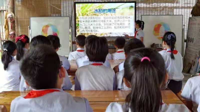西安市新优质小学成长计划,西安碑林区新优质小学