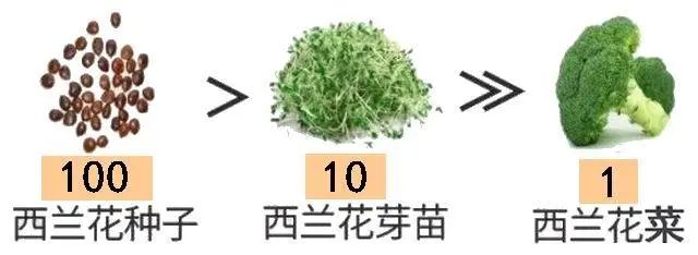 西兰花种子固体饮料的作用,西兰花种子水提取物功效