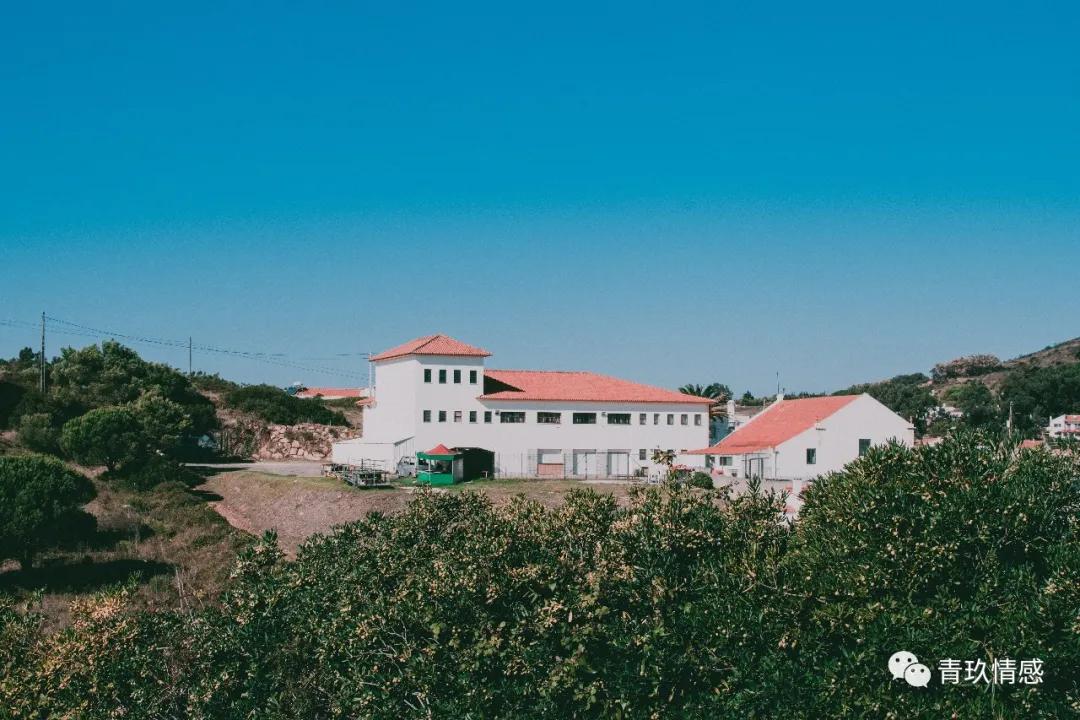 感情中太过黏人的女孩怎么改变,感情中的女人怎么改变