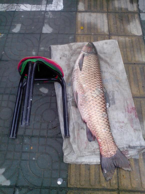 钓鱼到底有多烧钱,钓鱼是烧钱还是挣钱