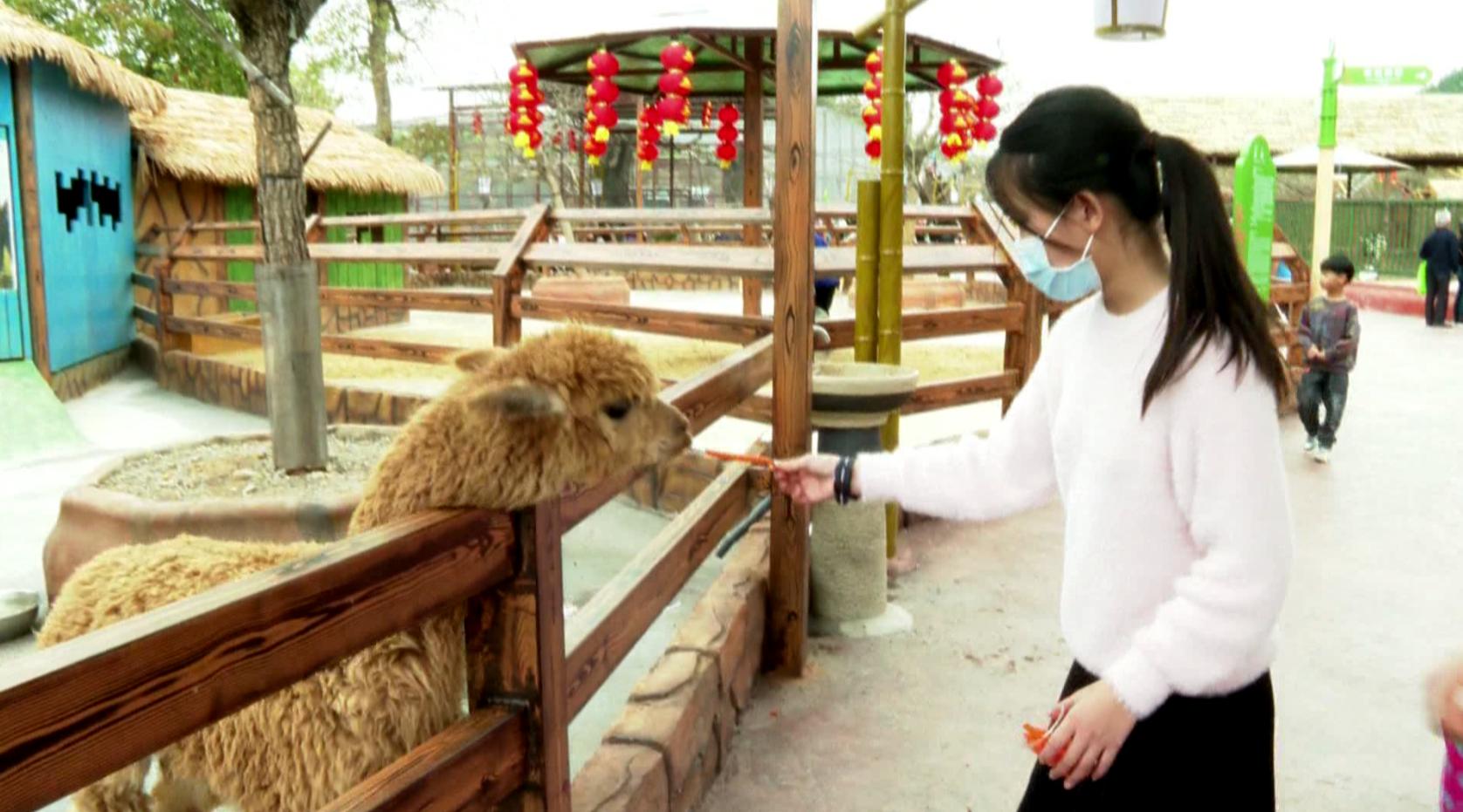 恩平市哪个镇热闹,恩平新年玩的地方