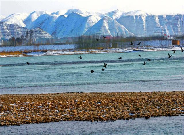 正解甘肃,正解的全部资料