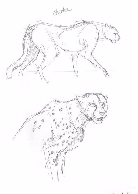 简笔画人物教程大全零基础成人,1000个适合零基础的简笔画教程