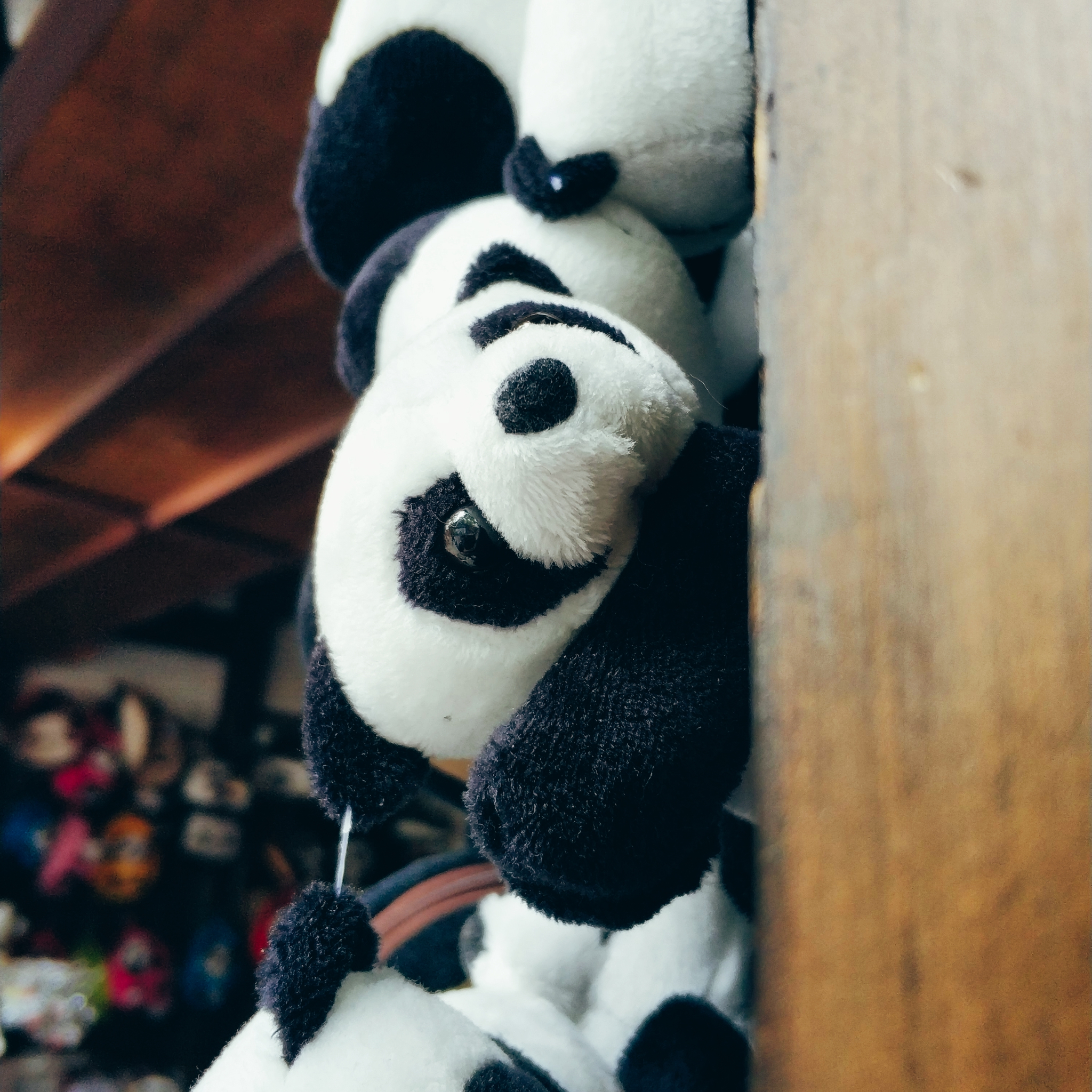 川藏线骑行从成都还是拉萨开始,318川藏线成都到拉萨骑行赛