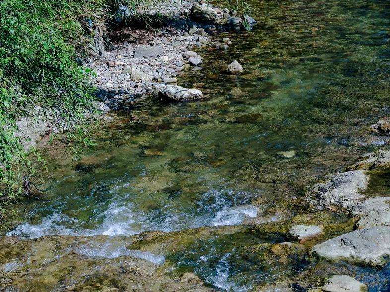 去稻田、赏竹林、上水库，带你深挖“竹”深不知处的中泰