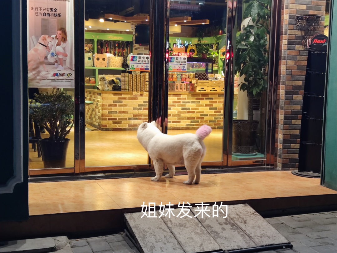 憨憨日常生活攻略,憨憨日常生活彩蛋