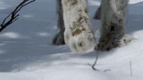 这6部电影足以秒杀大部分电影,十部必看旅行纪录片人文纪录片