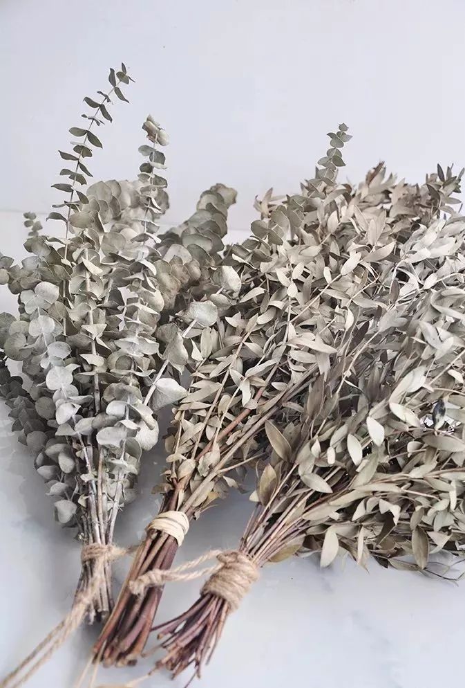 适合做干花的7种花,太阳花切花怎么做干花