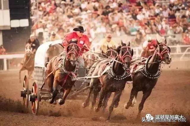 世界十大顶级图书馆,震撼世界的图书馆