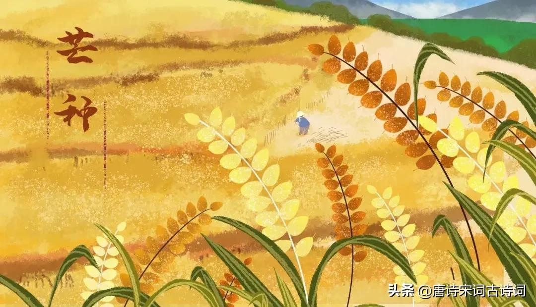 芒种诗词大全300首,最美芒种诗十首