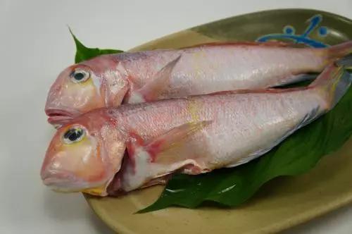 开海什么海鲜最好,开海季肥美海鲜