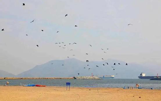 珠海海岛特色海鲜,珠海海岛10大绝美景点打卡攻略